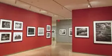 International Center for Photography - Sebastião Salgado Genesis exhibition